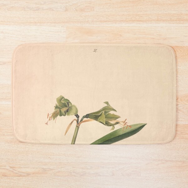 Item preview, Brazilian flowers drawn from nature in the years 1880 to 1882 in the neighbourhood of Rio de Janeiro E H Norton 037 designed and sold by WetdryvacRB01.