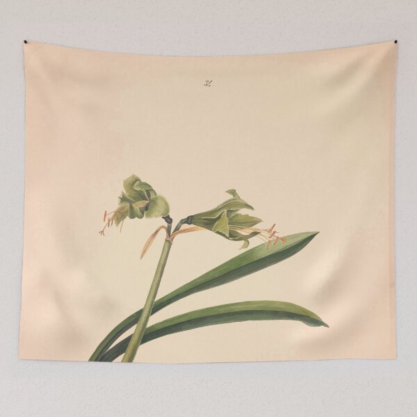 Item preview, Brazilian flowers drawn from nature in the years 1880 to 1882 in the neighbourhood of Rio de Janeiro E H Norton 037 designed and sold by WetdryvacRB01.