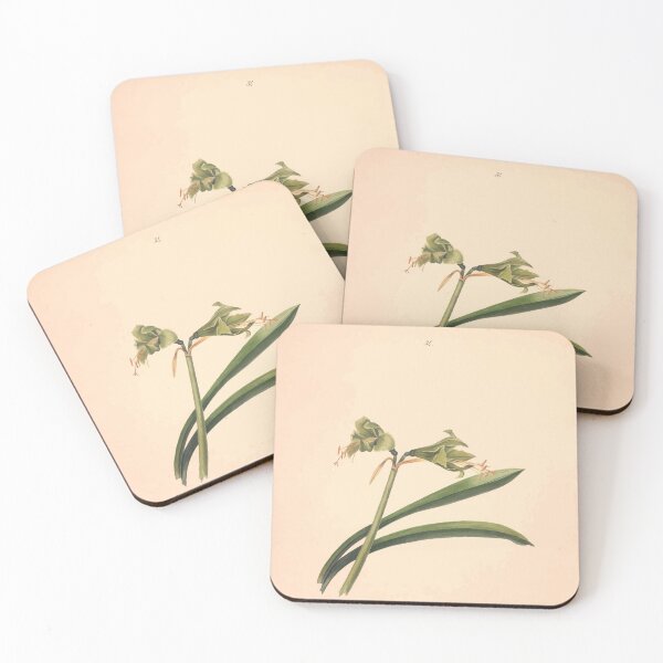Item preview, Brazilian flowers drawn from nature in the years 1880 to 1882 in the neighbourhood of Rio de Janeiro E H Norton 037 designed and sold by WetdryvacRB01.