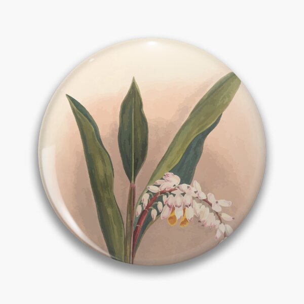 Item preview, Brazilian flowers drawn from nature in the years 1880 to 1882 in the neighbourhood of Rio de Janeiro E H Norton 038 designed and sold by WetdryvacRB01.