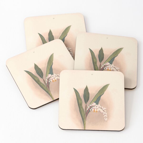 Item preview, Brazilian flowers drawn from nature in the years 1880 to 1882 in the neighbourhood of Rio de Janeiro E H Norton 038 designed and sold by WetdryvacRB01.