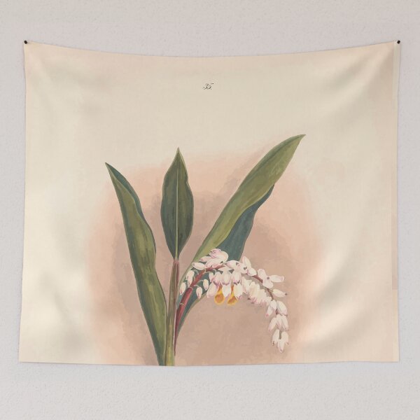 Item preview, Brazilian flowers drawn from nature in the years 1880 to 1882 in the neighbourhood of Rio de Janeiro E H Norton 038 designed and sold by WetdryvacRB01.