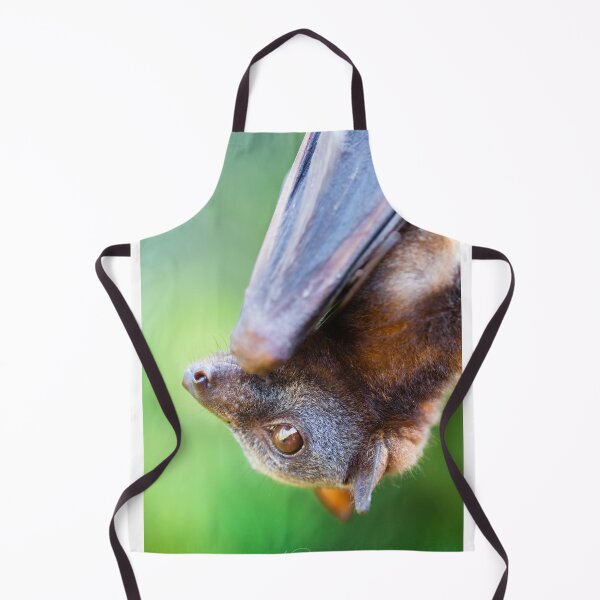 Item preview, Little red Flying-fox designed and sold by DavePinsonPhoto.