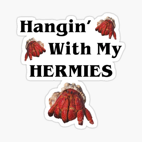 Item preview, Hangin With My Hermies Funny Hermit Crab Lover designed and sold by Cat Lady Designs.