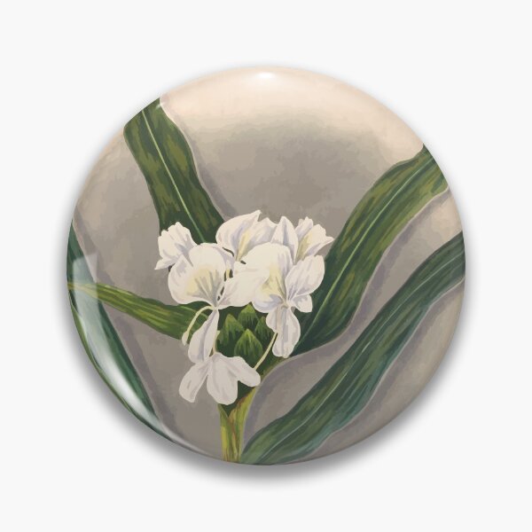 Item preview, Brazilian flowers drawn from nature in the years 1880 to 1882 in the neighbourhood of Rio de Janeiro E H Norton 039 designed and sold by WetdryvacRB01.