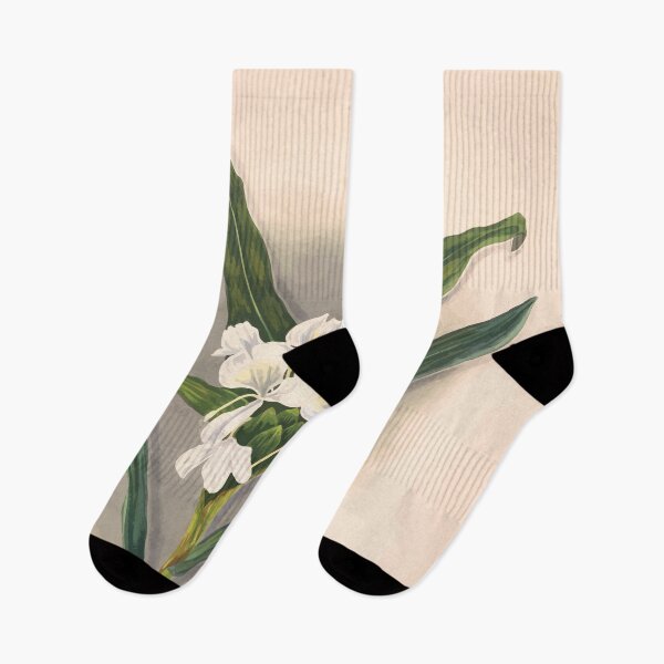 Item preview, Brazilian flowers drawn from nature in the years 1880 to 1882 in the neighbourhood of Rio de Janeiro E H Norton 039 designed and sold by WetdryvacRB01.