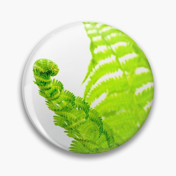 Item preview, Fern Fronds designed and sold by Ollivrosa.
