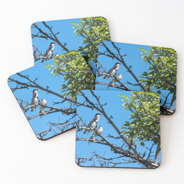 Item preview, Familia de aves rey designed and sold by hk2001.