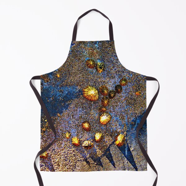 Item preview, Limpets Mollusks Shells Metal Surface Coastal designed and sold by Anna Lemos.