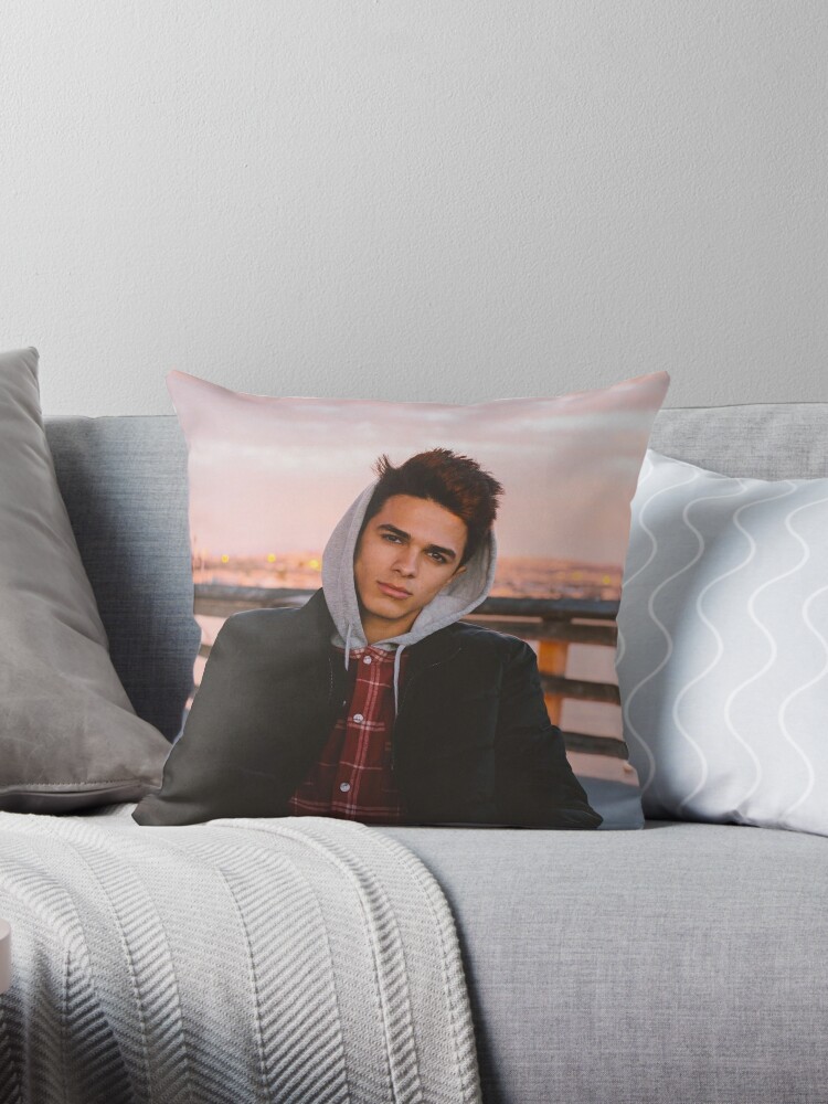 https://ih1.redbubble.net/image.1681851929.4029/throwpillow,small,750x1000-bg,f8f8f8.jpg