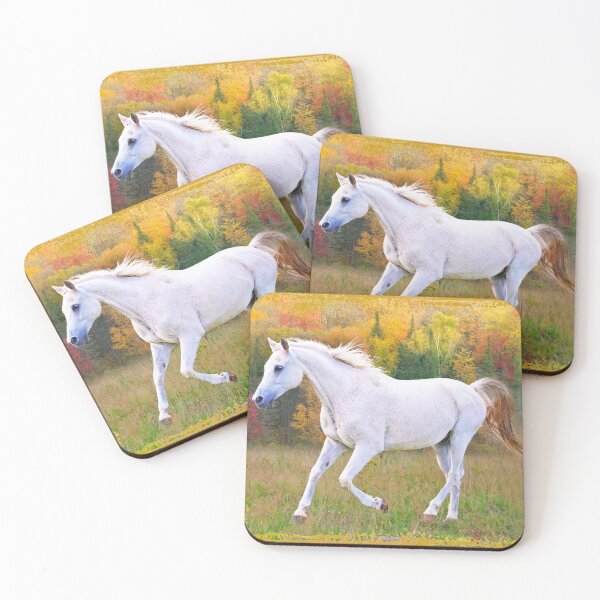 Item preview, Autumn Canter designed and sold by horseymj1.