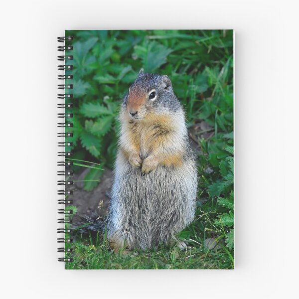 Item preview, Columbian Ground Squirrel designed and sold by Karen Peron.