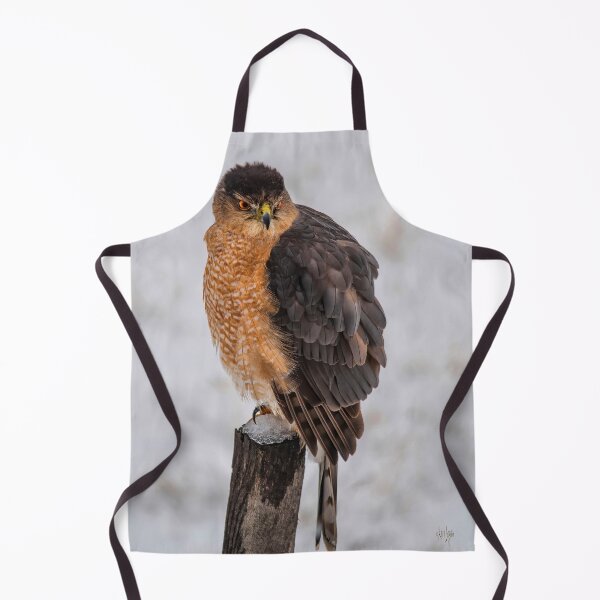 Item preview, Fluffy Cooper's Hawk In Snow designed and sold by Lois  Bryan.