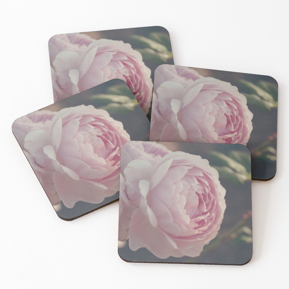 Item preview, Coasters (Set of 4) designed and sold by stephmitterko.