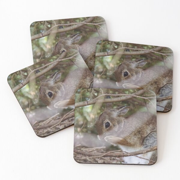 Item preview, Bunny Rabbit Grooming Itself designed and sold by fotosbymaria.