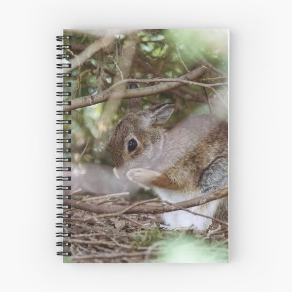 Item preview, Bunny Rabbit Grooming Itself designed and sold by fotosbymaria.
