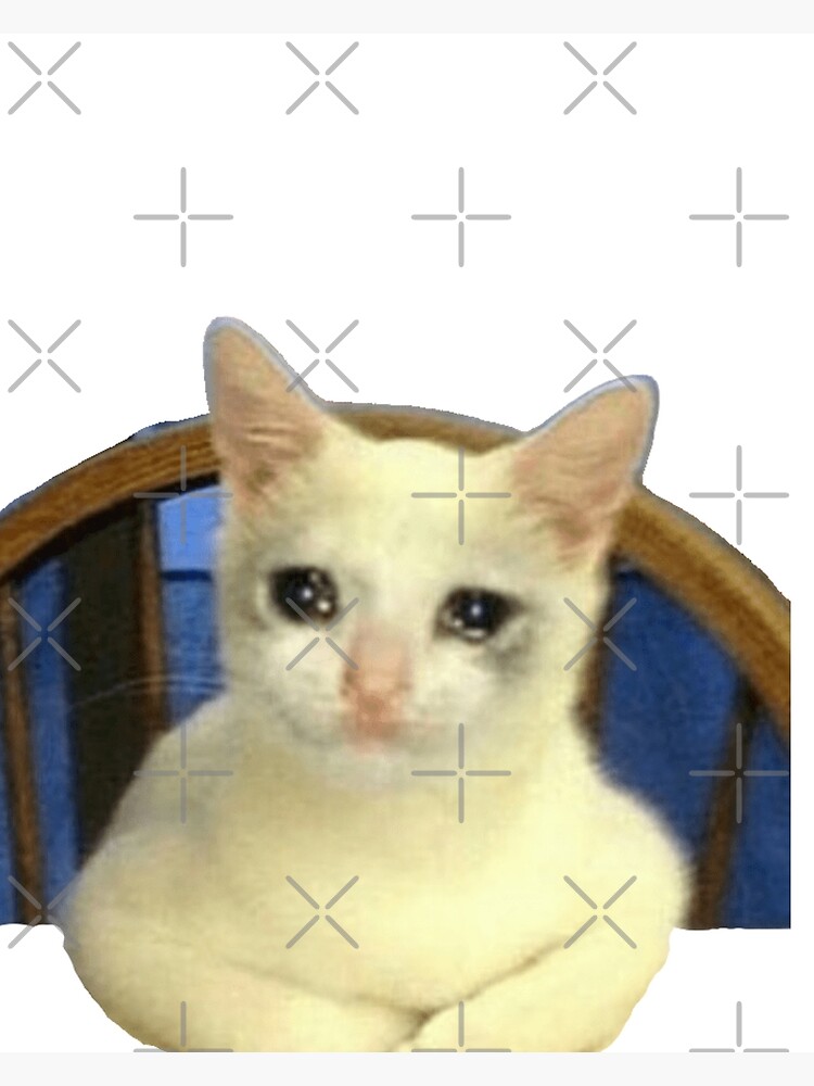 "Crying Cat Chair Meme Crying Cat Meme Crying Cat Chair Meme, Cat