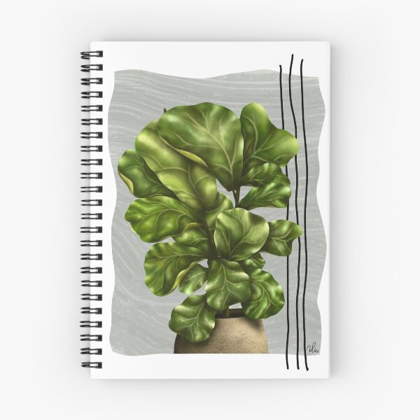 Item preview, Ficus Iyrata designed and sold by ForLoveofLilies.