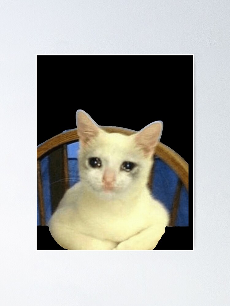 Crying Cat Chair Meme Crying Cat Meme Crying Cat Chair Meme Cat Meme Crying Cat Crying Cat Sitting Poster By Captiancringe Redbubble