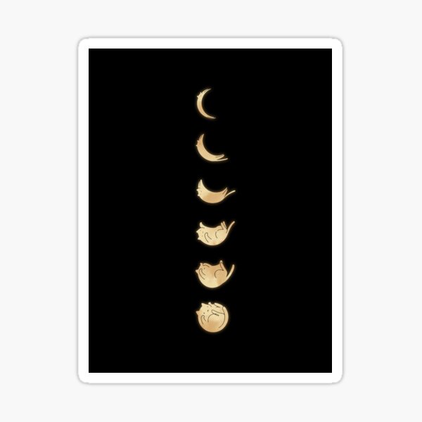 Cat Moon Phases Sticker, Cat Sticker, Moon Sticker, Cat Mom