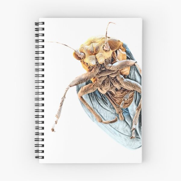 Item preview, Psyllid, a flying bug designed and sold by polymathicbeast.