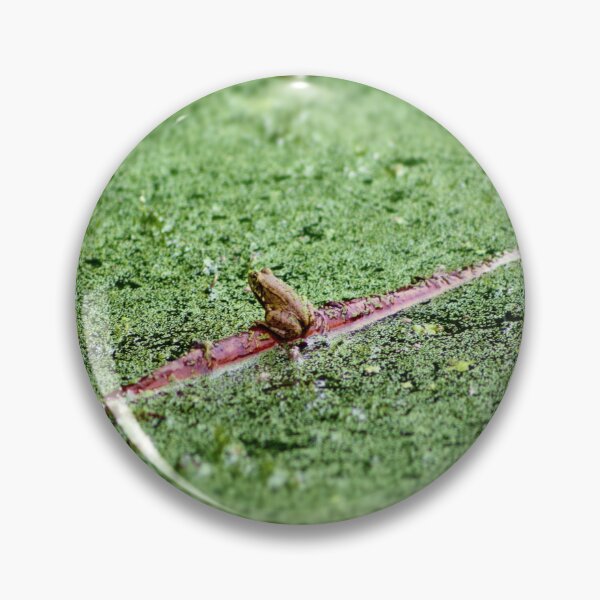 Item preview, Frog on a Log designed and sold by gabbledesign.