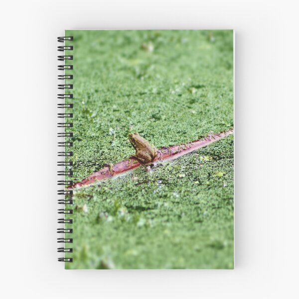 Item preview, Frog on a Log designed and sold by gabbledesign.