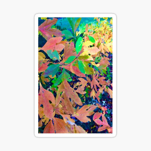 Item preview, Autumn Walk designed and sold by Karen Eutemey.
