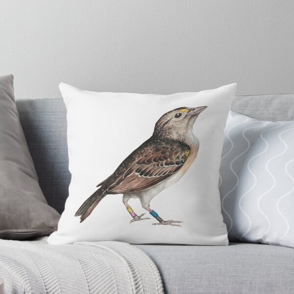 Artikelvorschau, Florida Grasshopper Sparrow entworfen und verkauft von TigereyeAS.