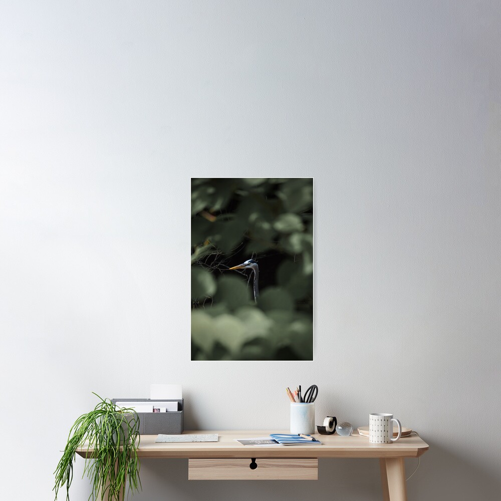 "Blue" by Cambridge Jenkins IV Poster