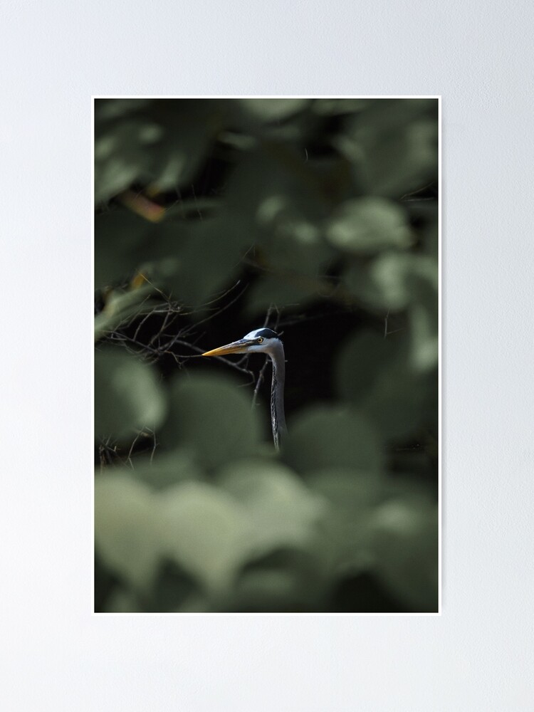 Alternate view of "Blue" by Cambridge Jenkins IV Poster