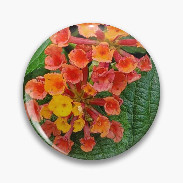 Item preview, Flowers of Sunset designed and sold by Shadowsantos.