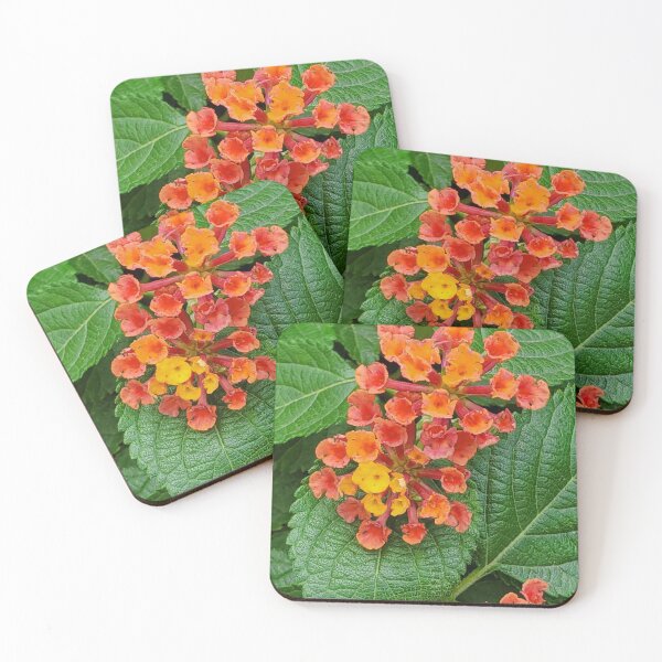 Item preview, Flowers of Sunset designed and sold by Shadowsantos.