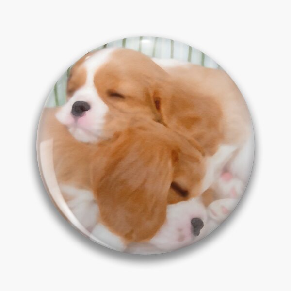 Item preview, Cavaliers - Disfrutando de su siesta designed and sold by Patricia L. Walker.