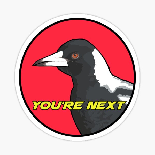 24 x 40mm Round 'Curious Magpie' Stickers SK00009770 