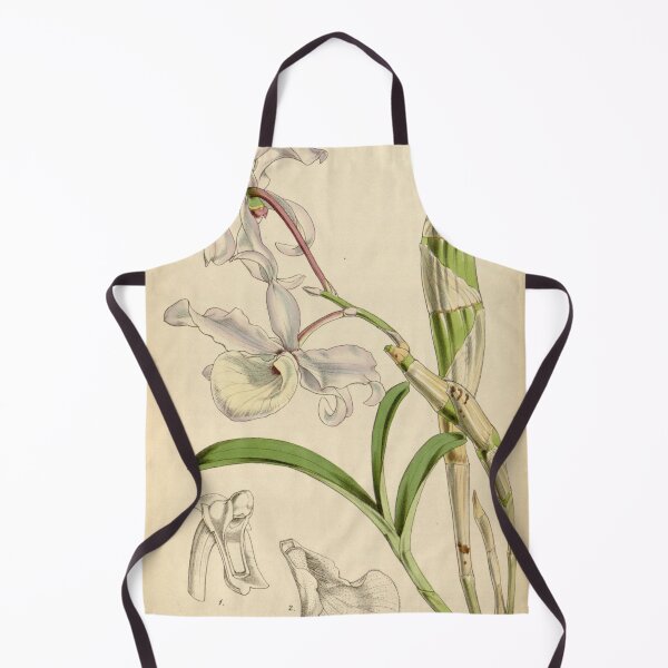 Item preview, Dendrobium tortile designed and sold by EsotericBotanic.