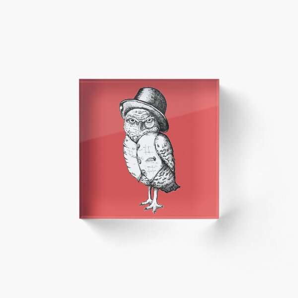 The Dapper Owl Acrylic Block