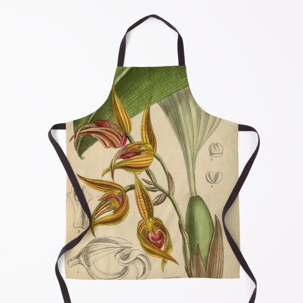Item preview, Bulbophyllum sociale 144 8761 designed and sold by EsotericBotanic.