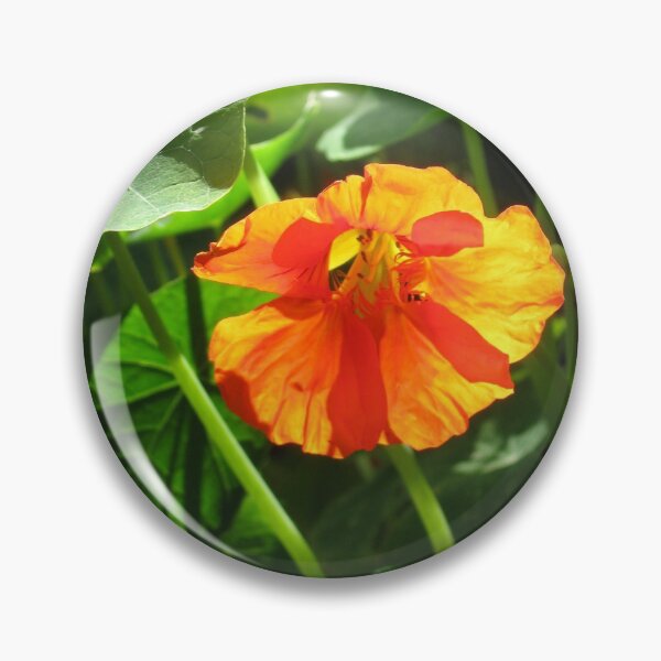 Item preview, Illumination designed and sold by Zinziber.