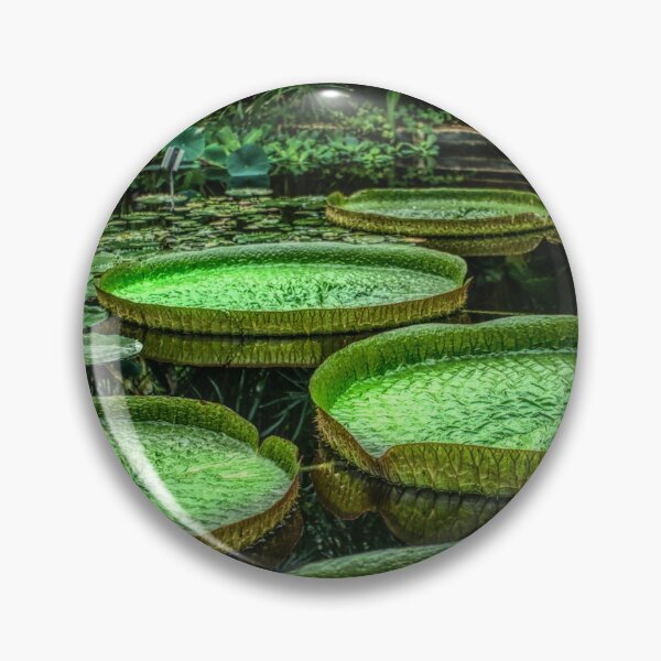 Item preview, Victoria amazonica designed and sold by Alisonchambers2.