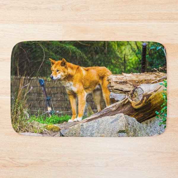 Item preview, Dingo on the Alert designed and sold by Steven Jodoin.