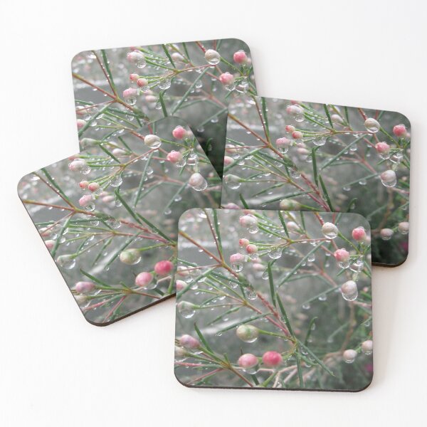 Item preview, Waxflower buds after rain designed and sold by Zinziber.