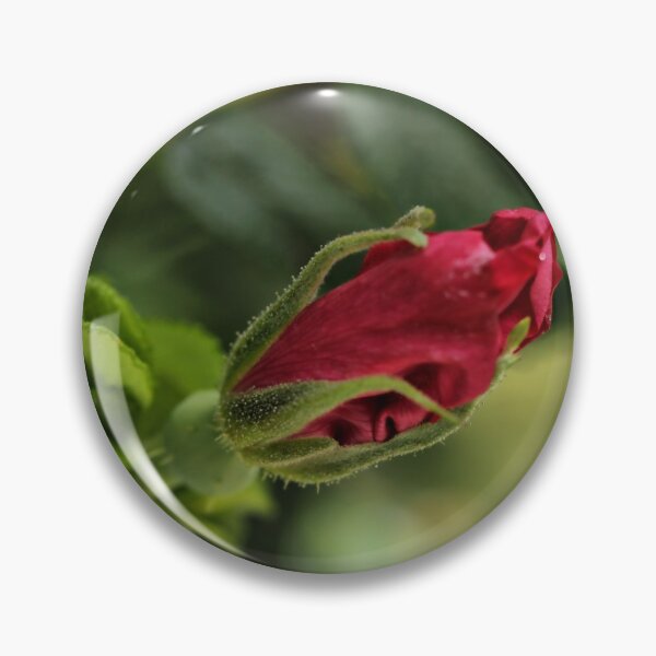 Item preview, Rugosa Pink Rosebud designed and sold by coffeebean.