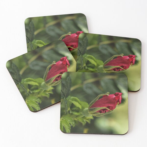 Item preview, Rugosa Pink Rosebud designed and sold by coffeebean.