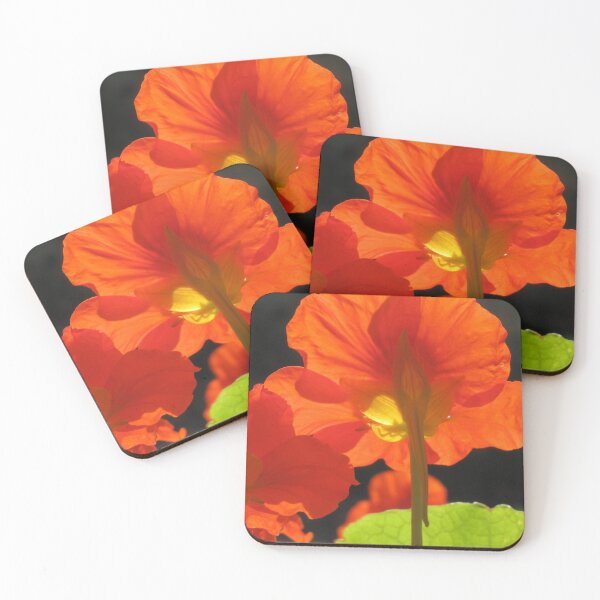 Item preview, Illuminated nasturtiums designed and sold by Zinziber.