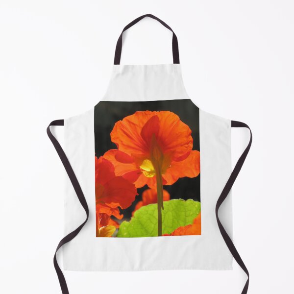 Item preview, Illuminated nasturtiums designed and sold by Zinziber.