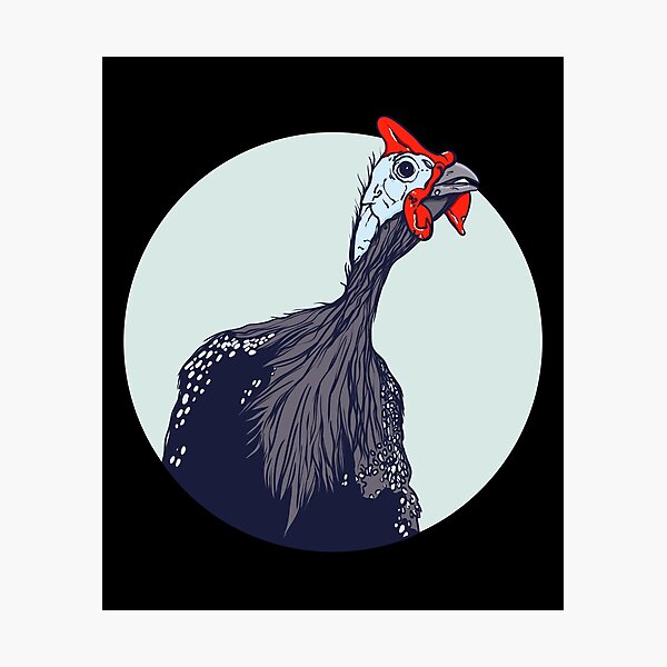 Item preview, Cute Bird gift, Guinea Fowl gift print designed and sold by Lisbob.