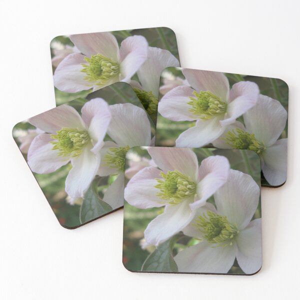 Item preview, Clematis flowers designed and sold by Zinziber.