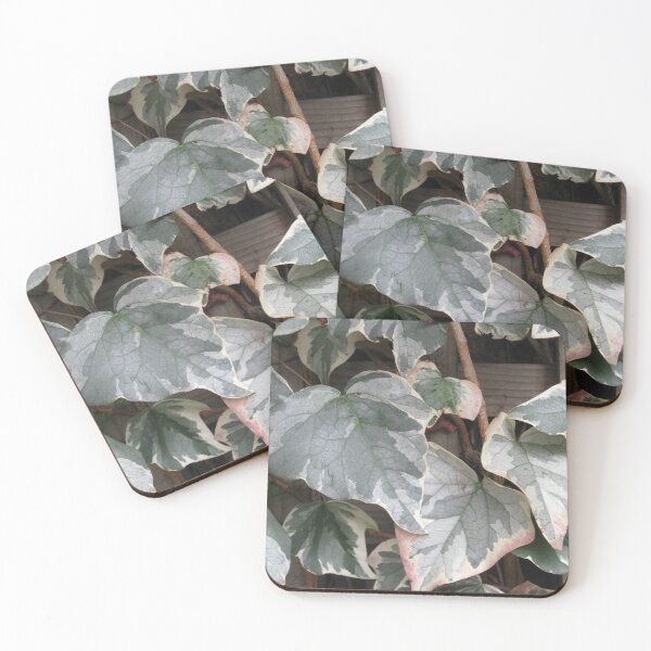 Item preview, Variegated Ivy designed and sold by Zinziber.
