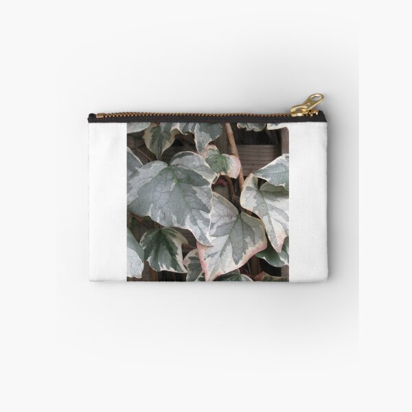 Item preview, Variegated Ivy designed and sold by Zinziber.